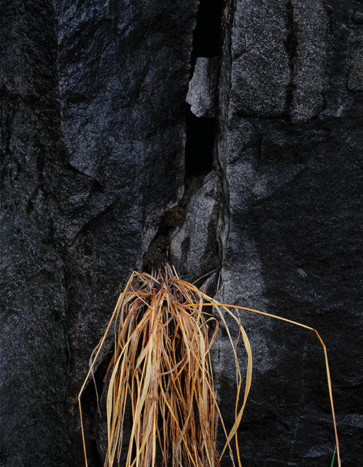 Black Rock with Grass