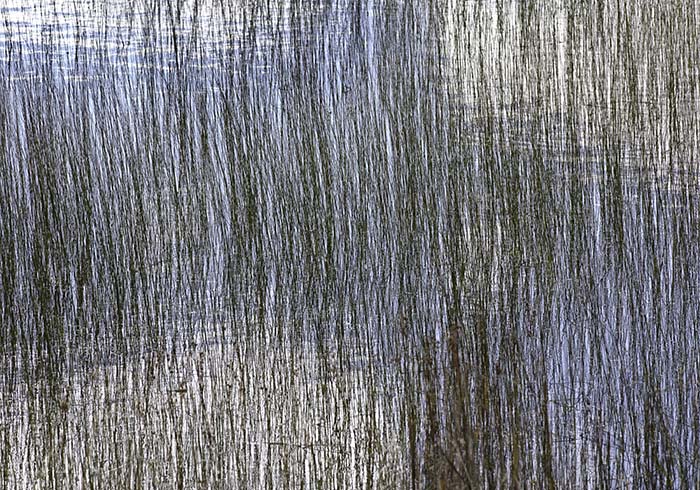 Michigan Wetlands, No. 4