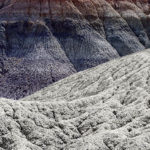 Petrified Forest, Arizona