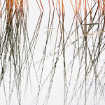 Reeds and Grasses, No. 6