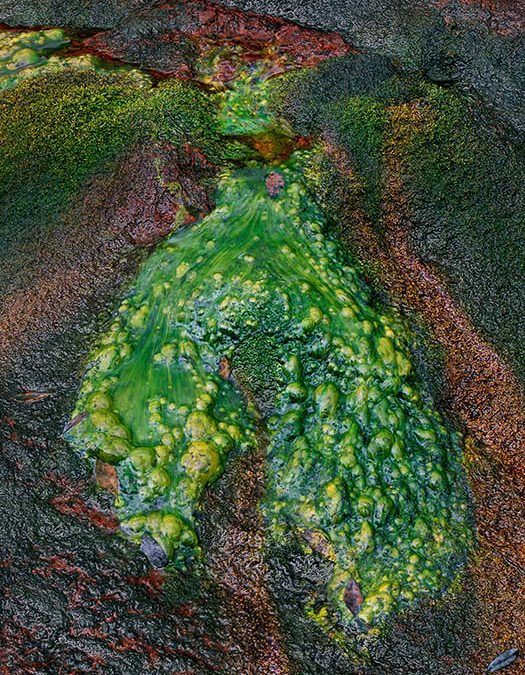Tailings, Old Mine, Colorado, No. 1
