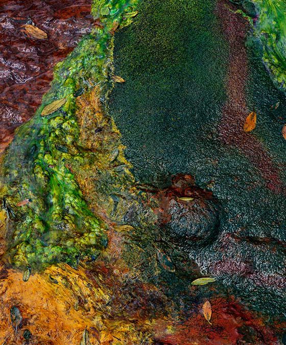 Tailings, Old Mine, Colorado, No. 2