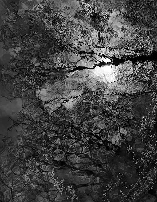 Reflection, Black Pond