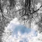 Trees and Sky, Black Pond