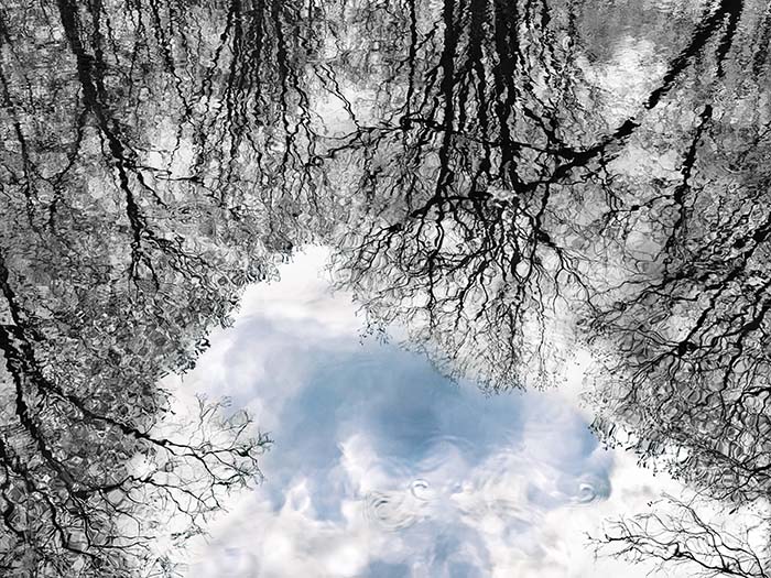 Trees and Sky, Black Pond