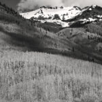 Aspens Across the Valley